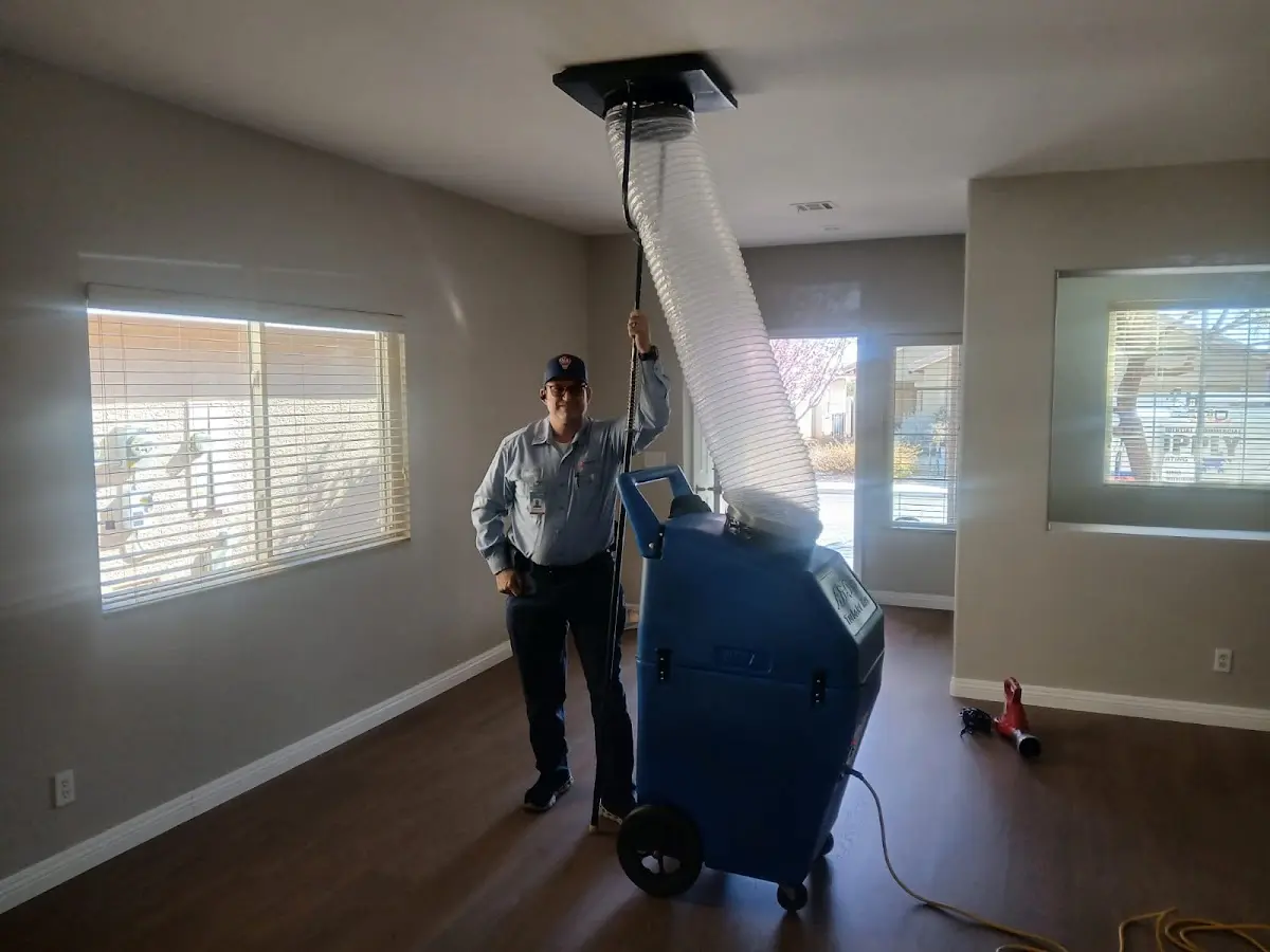 Professional Dryer Vent Cleaning work inside a Anchorage home
